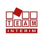 Team Interim