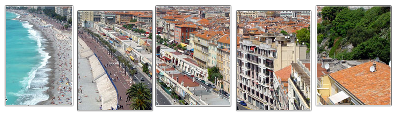 PAX AVENUE